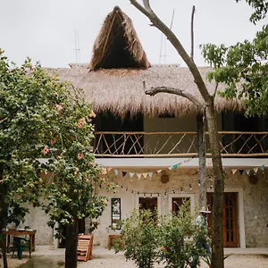 https://xiknal-cozumel.quintano-roohotels.com